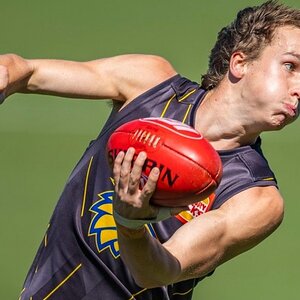 Screenshot_20251204-181544_Google (1).jpg