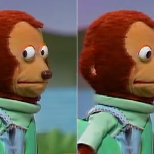 Muppet Look away meme.jpg