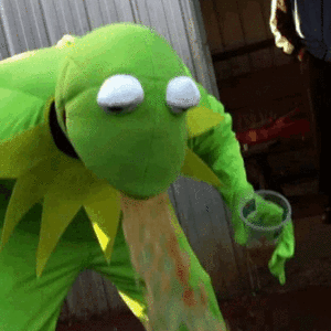 puking-kermit.gif