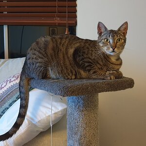 2022-01-19 20.54.33.jpg