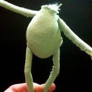 kermit headless too.jpg