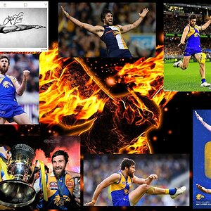 #17 Josh Kennedy.jpg