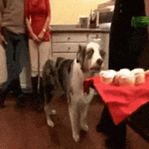 200 - 2025-10-11T044532.088.gif