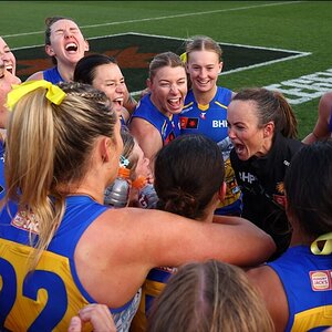 tlx8y19vt93d1 - Copy.jpg