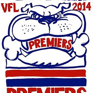 VFLpremiers2014.jpg