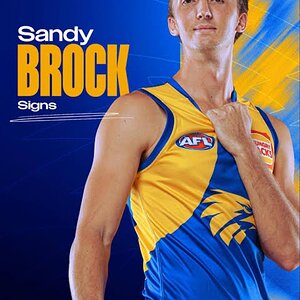 Screenshot_20260103-130052_Google (1).jpg