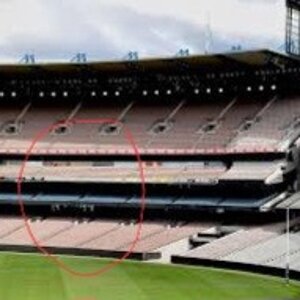 images (2) (15).jpeg