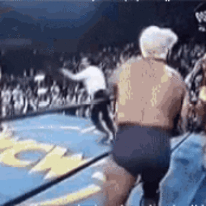 ric-flair-wrestling.gif