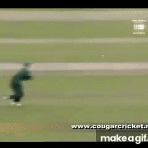 Herschelle_Gibbs_Dropped_Catch_World_Cup_1999.gif