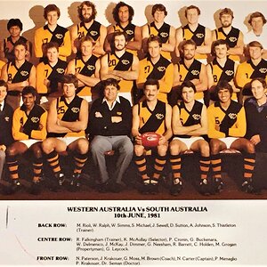 W.A. State of Origin 1981.jpg