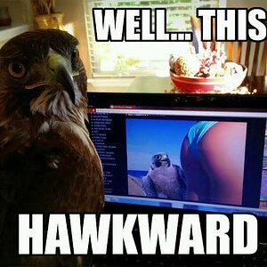 IMG_6843.jpeg
