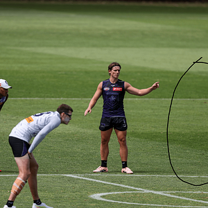 Screenshot 2026-01-30 0742002.png