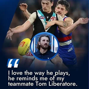 Screenshot (267).webp