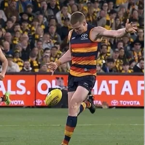 Screenshot 2026-02-14 at 4.16.12 pm.webp