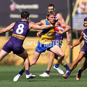 imagerender (8).webp