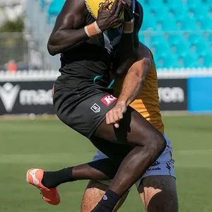 PortCrowsTrial2026 - 2.webp