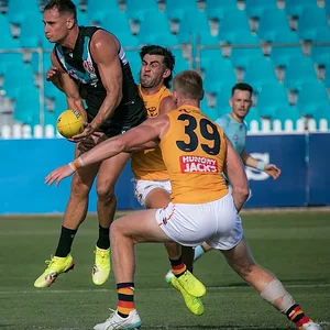 PortCrowsTrial2026 - 6.webp