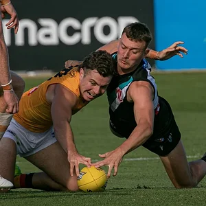 PortCrowsTrial2026 - 7.webp