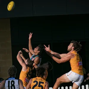 PortCrowsTrial2026 - 11.webp