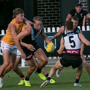 PortCrowsTrial2026 - 13.webp