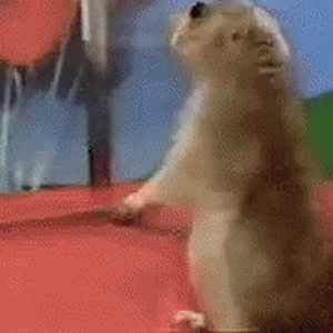 chipmunk-dramatic.gif
