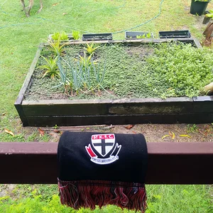 IMG_20260308_113911 (1).webp