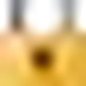 1773293081956.webp