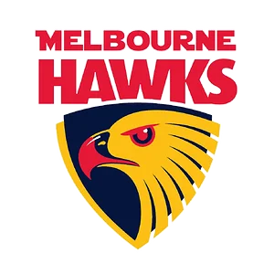 What happens if the Melbourne Hawks merger actually happened