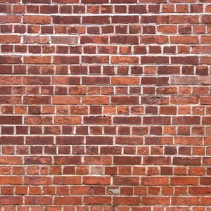 brickwall.webp