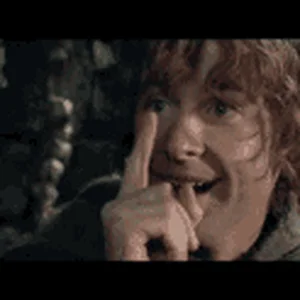 pippin-lotr.gif