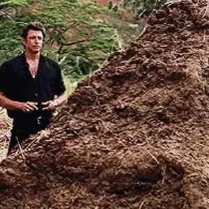 Screenshot 2026-04-03 at 5.29.06 PM.webp