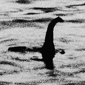 Loch_Ness_Monster_Surgeon's_photograph.webp