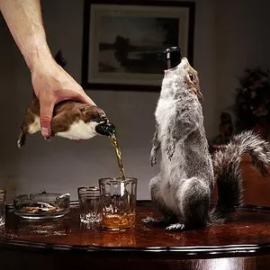 brewdog-taxidermied-squirrel.webp