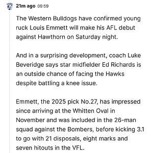 Media 'IMG_0114.webp' in category 'Western Bulldogs'