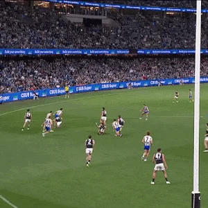 sheezgoal2.gif