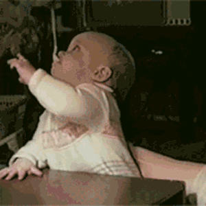 1D29C7AD-E244-4016-8CB8-E65FF7C24D35.gif