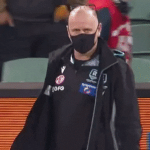 giphy (1).gif
