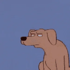 dog-meme.gif