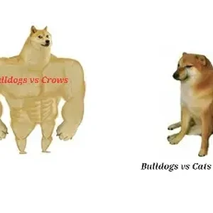 buff-doge-vs-cheems-meme-template-thumbnail-5c23192d.webp