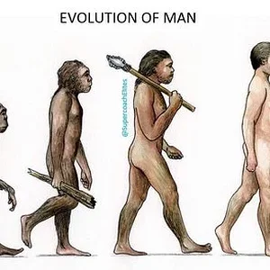 EvolutionofMan.webp