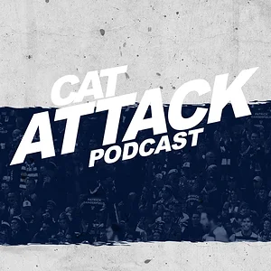 cat-attack-audioboom.webp