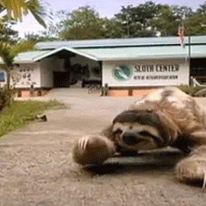1777959100328.gif