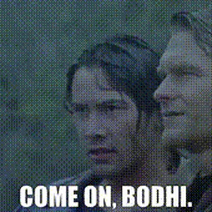 e0544120-14db-4892-97aa-d249b6eeeca6_text.gif