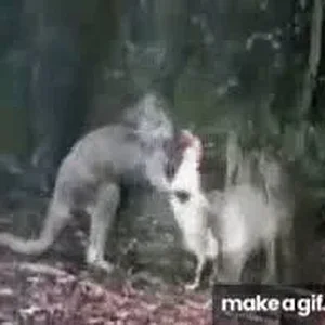 1778274059381.webp