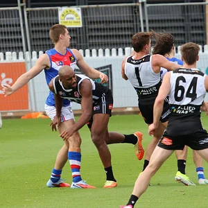 IMG_0546.webp