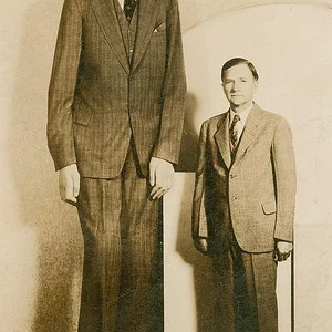 Robert_Wadlow_postcard.webp
