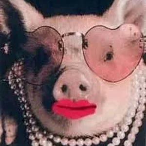 lipstick-on-a-pig.webp