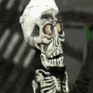 IMG_1071.gif