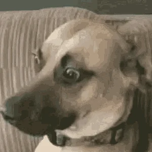 4b12a0a1a50aba5bf1afac6c32c20eeb.gif