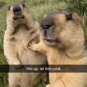 HHdQhLrXMAAueLb.webp